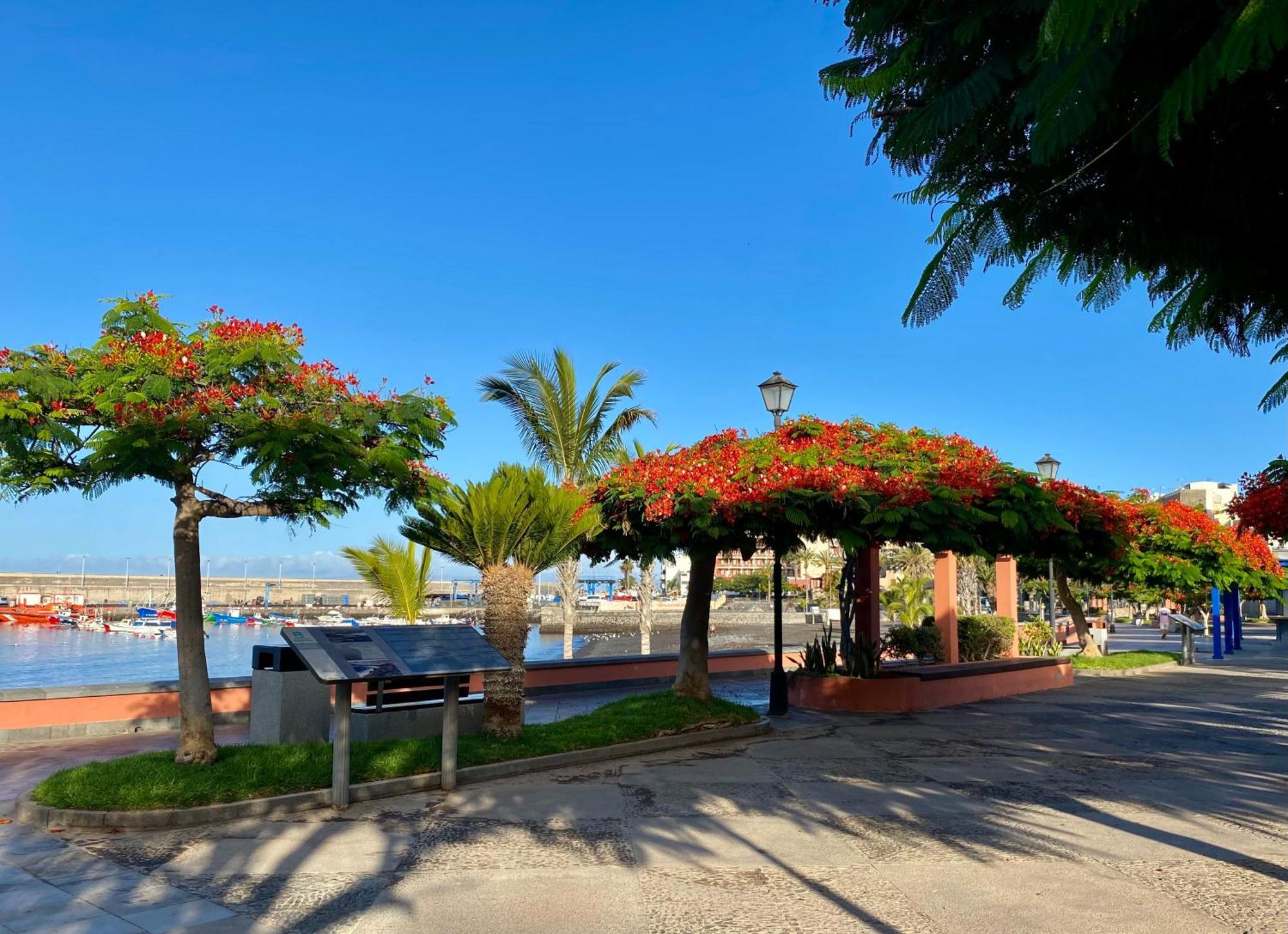 Casa Antonio - Apartamento Orion Playa de San Juan  Εξωτερικό φωτογραφία